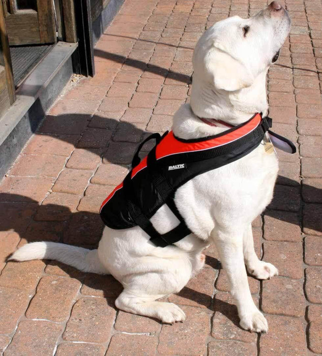Baltic Dog Buoyancy aid - Boardworx