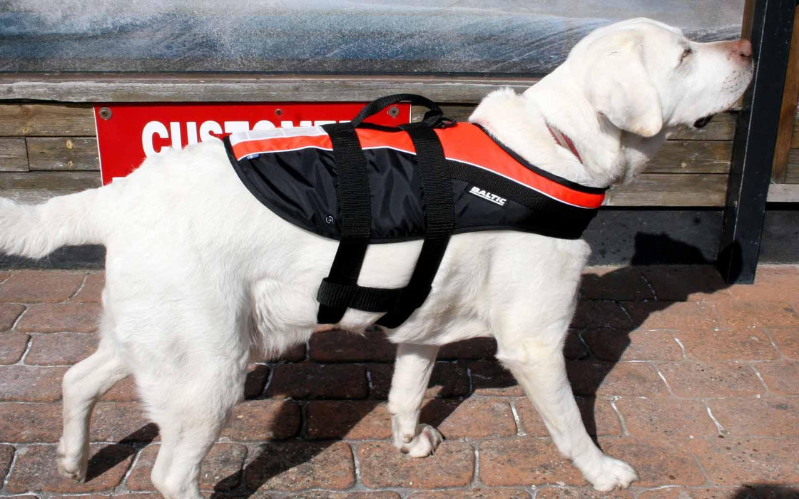 Baltic Dog Buoyancy aid - Boardworx