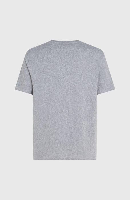 O'Neill Logo Tee Silver Melee -A