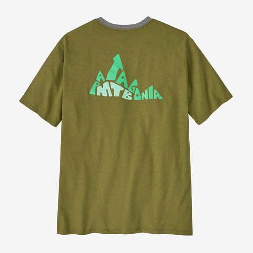 Patagonia Berm Logo Responsibili-Tee Graze Green - Boardworx