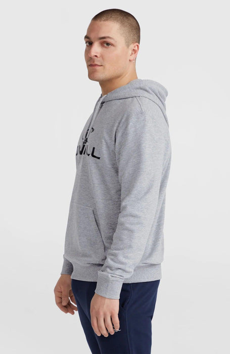 O'Neill Logo Hoodie Silver Melee