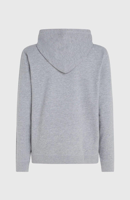 O'Neill Logo Hoodie Silver Melee