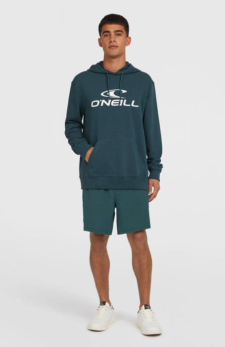 O'Neill Logo Hoodie Alma Steel