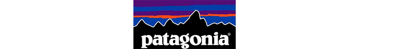 Patagonia - Boardworx