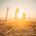 Parkit Eclipse Sunkissed outdoor reclining chair in beach lifestyle setting at golden hour