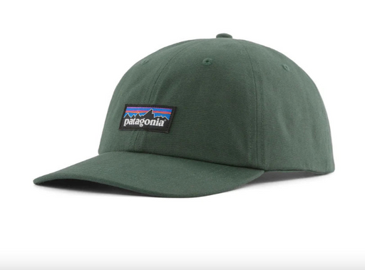 Patagonia P-6 Label Trad Cap in Canopy Green, front view
