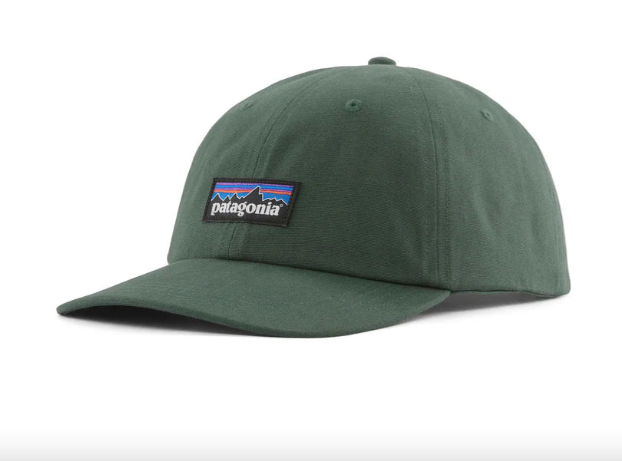 Patagonia P-6 Label Trad Cap Canopy Green