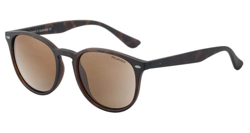 Dirty Dog Racoon Satin Tort-Brown Polarised - Boardworx