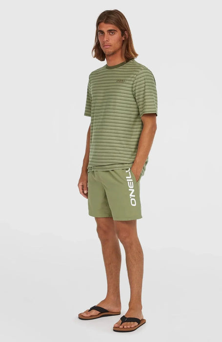 O'Neill Cali 16 green swim shorts with bold logo, men's surf clothing for watersports