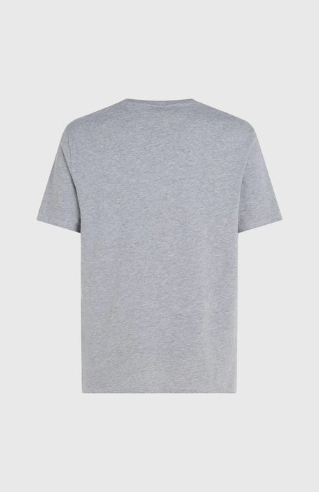 O'Neill silver melee short sleeve t-shirt, plain back, surf clothing
