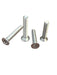 Stainless steel M6 and M8 Torx wing foil bolts for watersports equipment