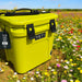 YETI Roadie 24 lime green cooler with black latches in a wildflower field